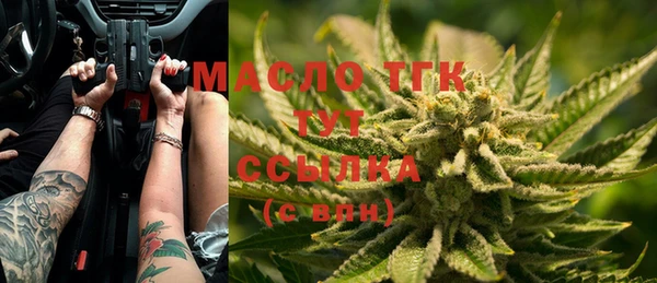 таблы Бородино