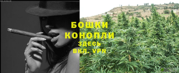 таблы Бородино