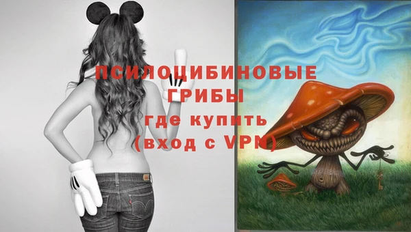 стаф Бронницы